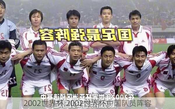 2002世界杯,2002世界杯中国队员阵容