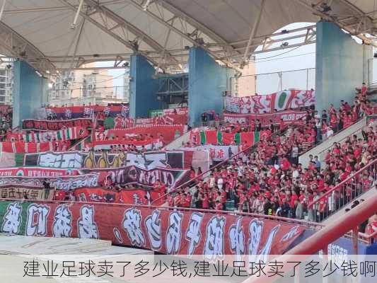 建业足球卖了多少钱,建业足球卖了多少钱啊