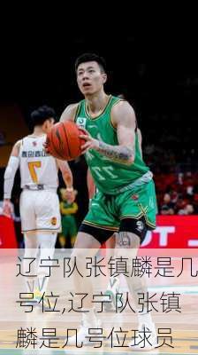 辽宁队张镇麟是几号位,辽宁队张镇麟是几号位球员