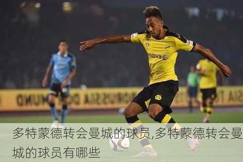 多特蒙德转会曼城的球员,多特蒙德转会曼城的球员有哪些