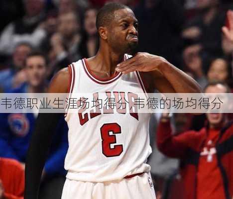 韦德职业生涯场均得分,韦德的场均得分