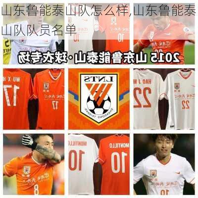 山东鲁能泰山队怎么样,山东鲁能泰山队队员名单