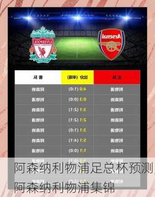 阿森纳利物浦足总杯预测,阿森纳利物浦集锦