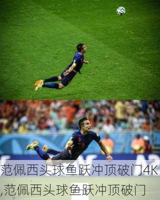 范佩西头球鱼跃冲顶破门4K,范佩西头球鱼跃冲顶破门