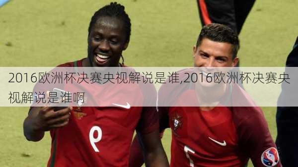 2016欧洲杯决赛央视解说是谁,2016欧洲杯决赛央视解说是谁啊