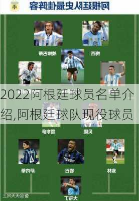 2022阿根廷球员名单介绍,阿根廷球队现役球员