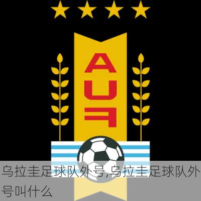 乌拉圭足球队外号,乌拉圭足球队外号叫什么