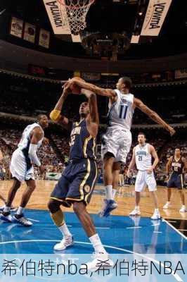 希伯特nba,希伯特NBA