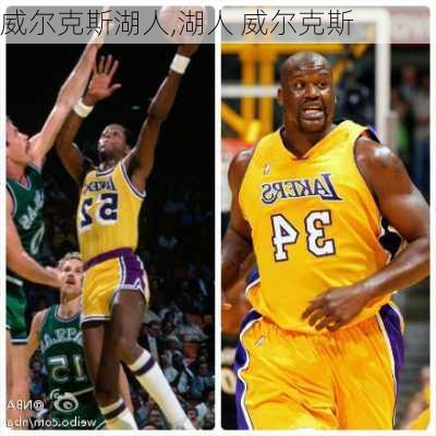 威尔克斯湖人,湖人 威尔克斯