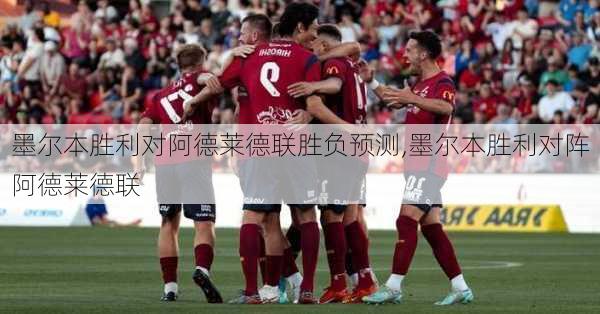 墨尔本胜利对阿德莱德联胜负预测,墨尔本胜利对阵阿德莱德联