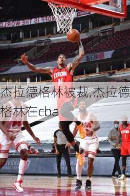 杰拉德格林被裁,杰拉德格林在cba