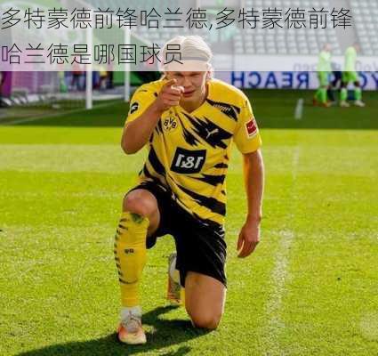 多特蒙德前锋哈兰德,多特蒙德前锋哈兰德是哪国球员