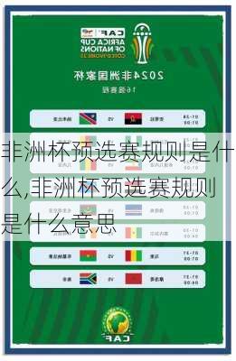 非洲杯预选赛规则是什么,非洲杯预选赛规则是什么意思