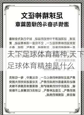天下足球体育精神,天下足球体育精神是什么