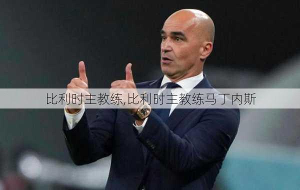 比利时主教练,比利时主教练马丁内斯