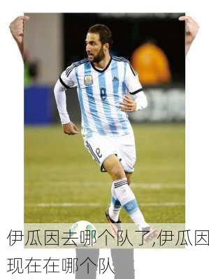 伊瓜因去哪个队了,伊瓜因现在在哪个队