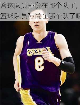 篮球队员孙悦在哪个队了,篮球队员孙悦在哪个队了啊