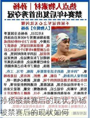 孙杨被禁赛后的现状,孙杨被禁赛后的现状如何