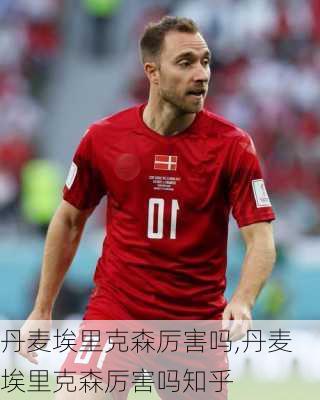 丹麦埃里克森厉害吗,丹麦埃里克森厉害吗知乎