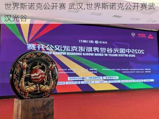 世界斯诺克公开赛 武汉,世界斯诺克公开赛武汉光谷
