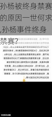 孙杨被终身禁赛的原因一世何求,孙杨事件终身禁赛?