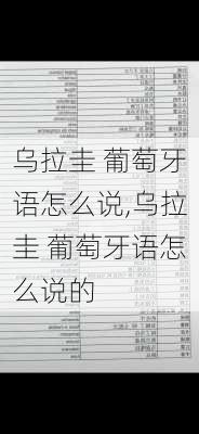 乌拉圭 葡萄牙语怎么说,乌拉圭 葡萄牙语怎么说的