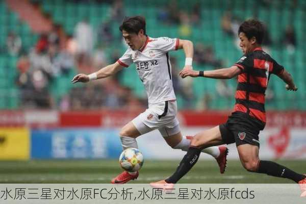 水原三星对水原FC分析,水原三星对水原fcds