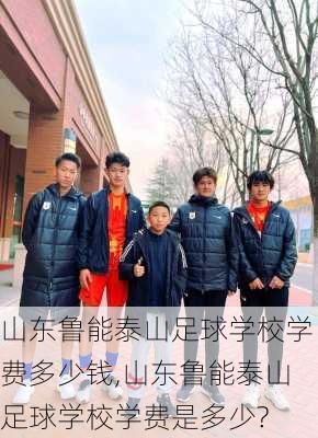 山东鲁能泰山足球学校学费多少钱,山东鲁能泰山足球学校学费是多少?