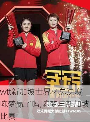 wtt新加坡世界杯总决赛陈梦赢了吗,陈梦与新加坡比赛
