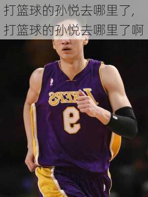 打篮球的孙悦去哪里了,打篮球的孙悦去哪里了啊
