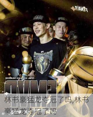 林书豪猛龙夺冠了吗,林书豪猛龙夺冠了吗