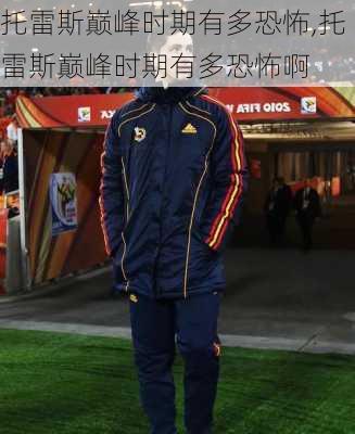 托雷斯巅峰时期有多恐怖,托雷斯巅峰时期有多恐怖啊