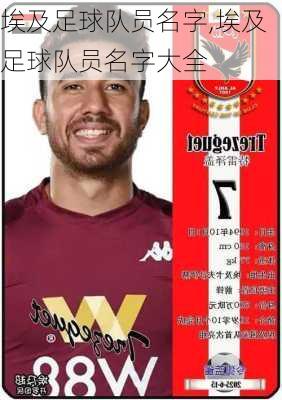 埃及足球队员名字,埃及足球队员名字大全