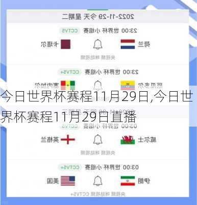 今日世界杯赛程11月29日,今日世界杯赛程11月29日直播