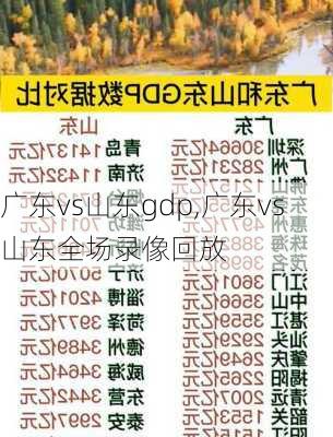 广东vs山东gdp,广东vs山东全场录像回放