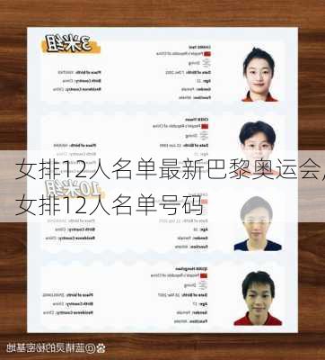 女排12人名单最新巴黎奥运会,女排12人名单号码