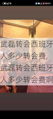 武磊转会西班牙人多少转会费,武磊转会西班牙人多少转会费啊