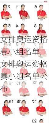女排奥运资格赛小组名单,女排奥运资格赛小组名单公布