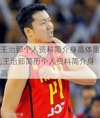 王治郅个人资料简介身高体重,王治郅简历个人资料简介身高