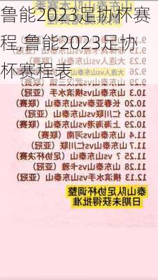 鲁能2023足协杯赛程,鲁能2023足协杯赛程表