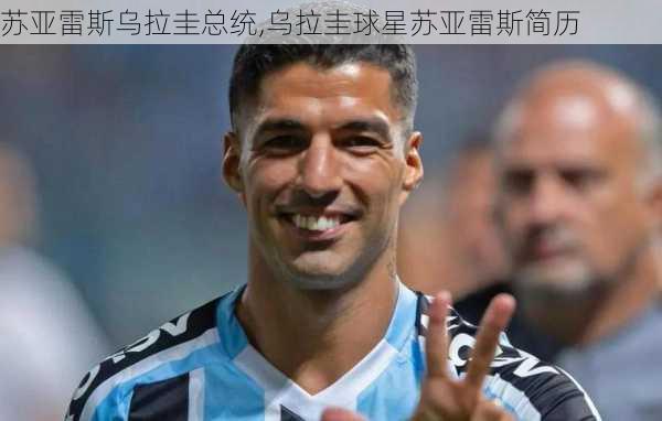 苏亚雷斯乌拉圭总统,乌拉圭球星苏亚雷斯简历