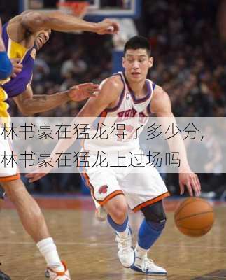 林书豪在猛龙得了多少分,林书豪在猛龙上过场吗