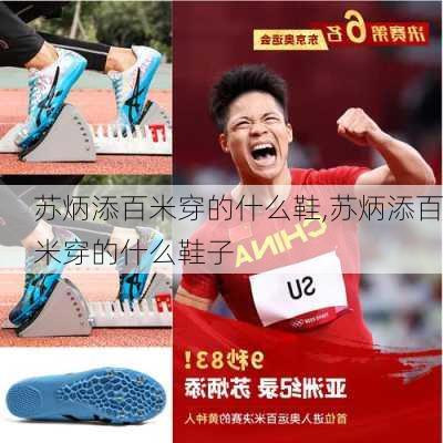 苏炳添百米穿的什么鞋,苏炳添百米穿的什么鞋子