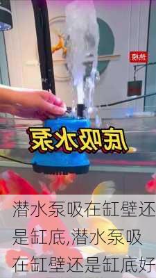 潜水泵吸在缸壁还是缸底,潜水泵吸在缸壁还是缸底好