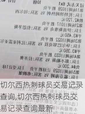 切尔西热刺球员交易记录查询,切尔西热刺球员交易记录查询最新