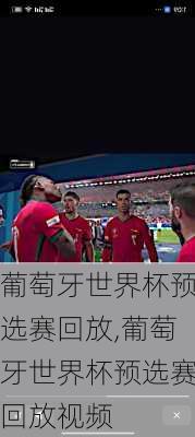 葡萄牙世界杯预选赛回放,葡萄牙世界杯预选赛回放视频