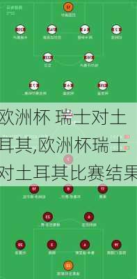 欧洲杯 瑞士对土耳其,欧洲杯瑞士对土耳其比赛结果