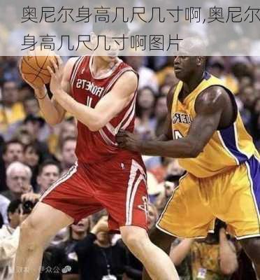 奥尼尔身高几尺几寸啊,奥尼尔身高几尺几寸啊图片
