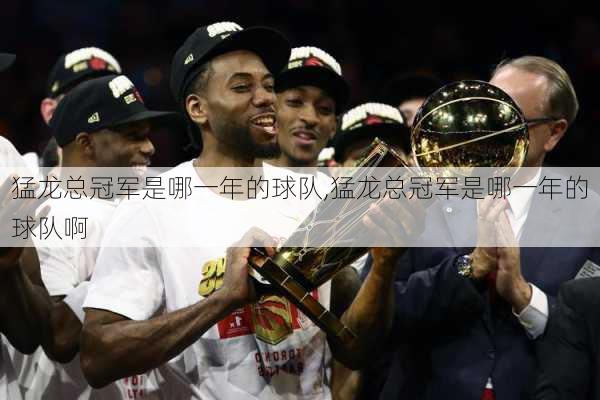 猛龙总冠军是哪一年的球队,猛龙总冠军是哪一年的球队啊