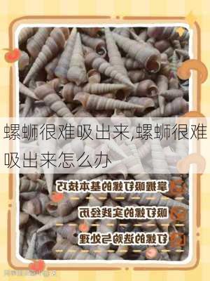 螺蛳很难吸出来,螺蛳很难吸出来怎么办